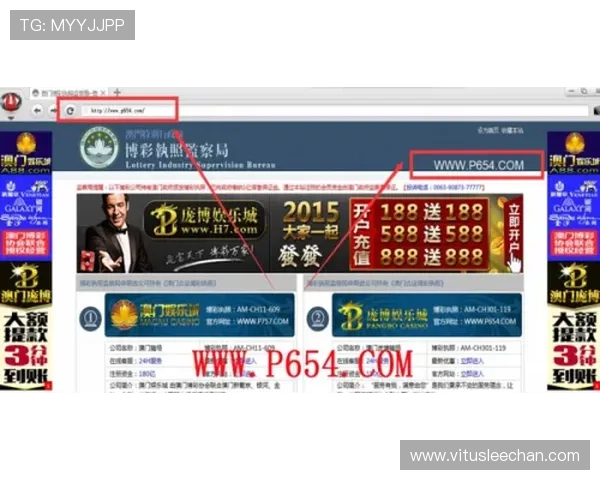 优质ag视讯贵宾厅网址推荐，保障玩家账号安全与游戏体验