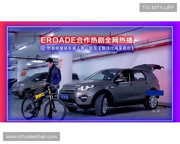 DB真人旗舰中国官方最新公告，全面解析平台安全保障措施与用户权益保护策略